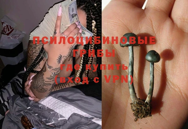 PSILOCYBIN Киреевск