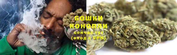 PSILOCYBIN Киреевск